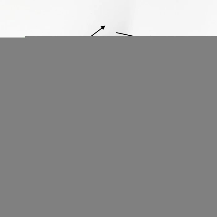 Hofstein Carano Außenwandleuchte LED Schwarz, 1-flammig, Bewegungsmelder 2 Hofstein Carano Außenwandleuchte LED Schwarz, 1-flammig, Bewegungsmelder – Bild 2