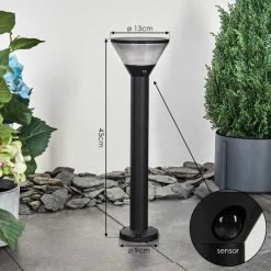 Hofstein Joennierni Wegeleuchte LED Schwarz, 1-flammig, Bewegungsmelder, Farbwechsler -Außenleuchten Verkäufe joennierni wegeleuchte h3580097 3