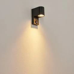 Hofstein Kingstown Au&szlig;enwandleuchte Anthrazit, Transparent, Klar, 1-flammig, Bewegungsmelder -Außenleuchten Verkäufe kingstown aussenwandleuchte h3611401 8