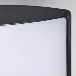 Hofstein Larvik Außenwandleuchte LED Anthrazit, 1-flammig, Bewegungsmelder -Außenleuchten Verkäufe larvik aussenwandleuchte h3303931 do1 19