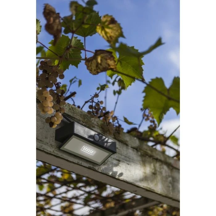 Lutec Lampen Lutec ARROW Solar-Außenwandleuchte LED Anthrazit, 1-flammig, Bewegungsmelder 4 Lutec Lampen Lutec ARROW Solar-Außenwandleuchte LED Anthrazit, 1-flammig, Bewegungsmelder – Bild 4