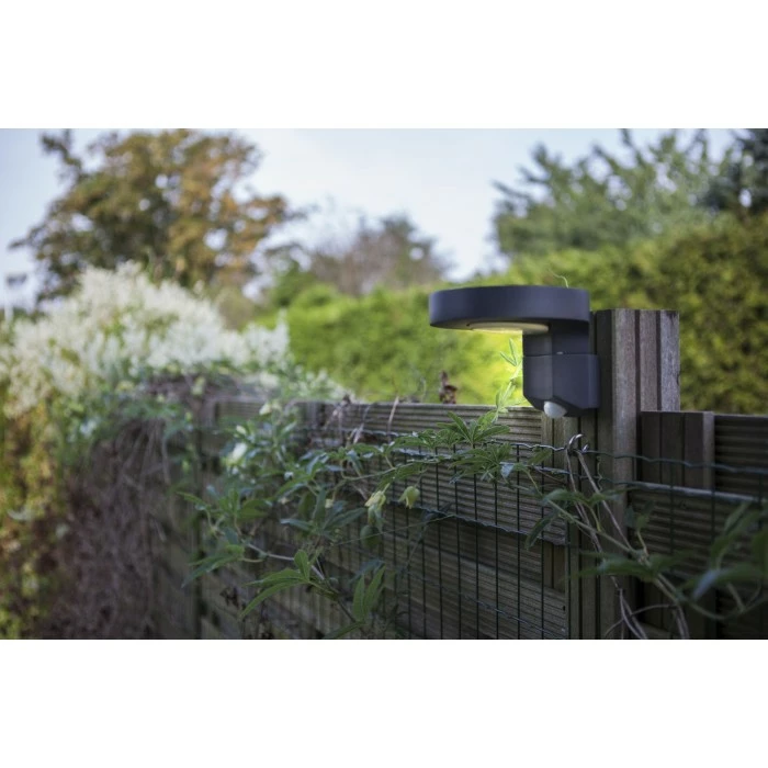 Lutec Lampen DISO Außenwandleuchte LED Anthrazit, 1-flammig, Bewegungsmelder 4 Lutec Lampen DISO Außenwandleuchte LED Anthrazit, 1-flammig, Bewegungsmelder – Bild 4