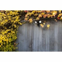 Lutec Lampen DRACO Au&szlig;enwandleuchte LED Schwarz, 1-flammig, Bewegungsmelder -Außenleuchten Verkäufe lutec lampen draco aussenwandleuchte 7622220012 2