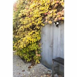 Lutec Lampen DRACO Au&szlig;enwandleuchte LED Schwarz, 1-flammig, Bewegungsmelder -Außenleuchten Verkäufe lutec lampen draco aussenwandleuchte 7622220012 6