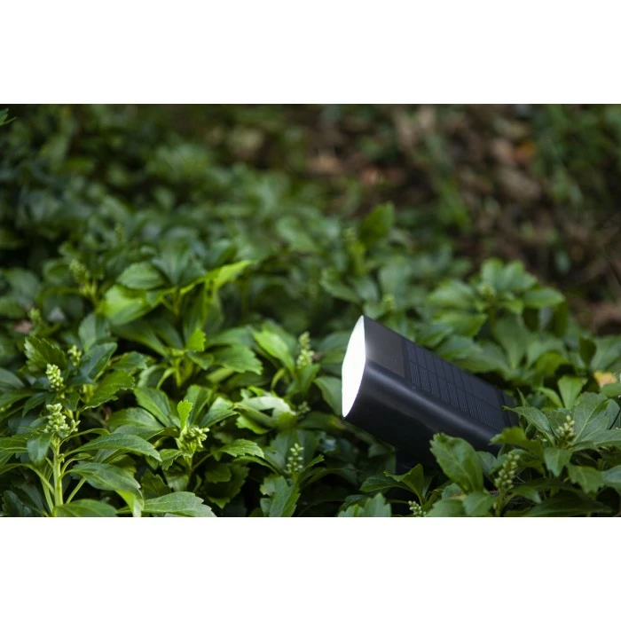 Lutec Lampen GINBO Gartenstrahler LED Schwarz, 1-flammig, Bewegungsmelder, Farbwechsler 7 Lutec Lampen GINBO Gartenstrahler LED Schwarz, 1-flammig, Bewegungsmelder, Farbwechsler – Bild 7