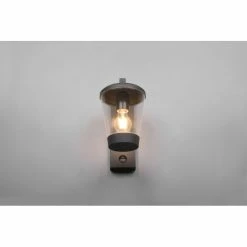 Trio Leuchten Cavado Wandleuchte Anthrazit, 1-flammig, Bewegungsmelder 11 Trio Leuchten Cavado Wandleuchte Anthrazit, 1-flammig, Bewegungsmelder -Außenleuchten Verkäufe trio leuchten cavado wandleuchte 211069142 2